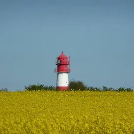 Hoffarth 2 公寓 盖尔廷