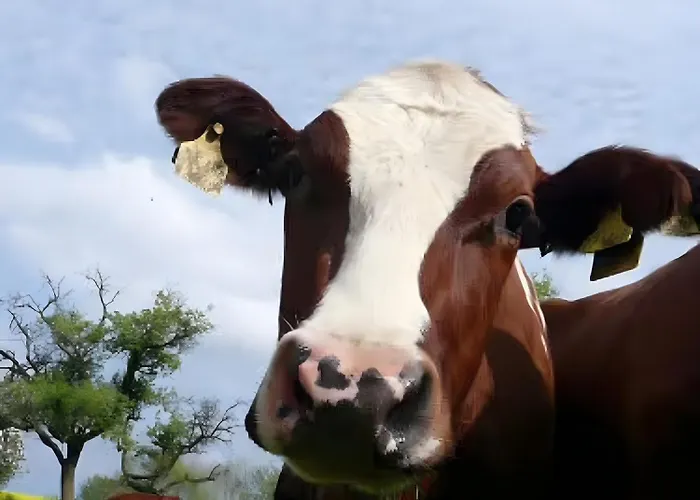 Διαμέρισμα Hoffarth 2 Gelting