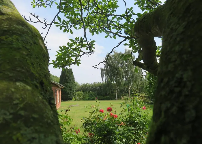 Apartament Hoffarth 2 *