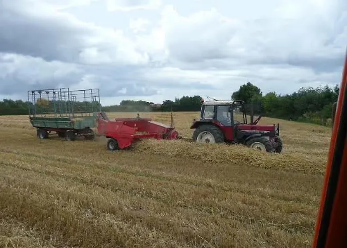 Hoffarth 2 * Gelting