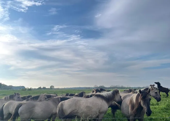 Hoffarth 2 Διαμέρισμα